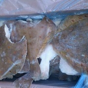 *КАМБАЛА не крупная*