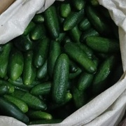 Огурцы луховицкие, 10 кг