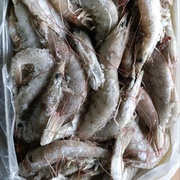 КРЕВЕТКА ТИГРОВАЯ ИРАН