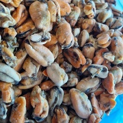 Мясо мидий не крупное