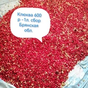 Клюква