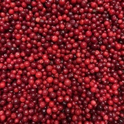 Брусника с/м