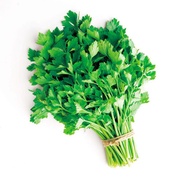 Сельдерея лист