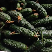 Огурцы корнишоны