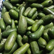 Авокадо без косточки