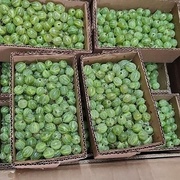 Крыжовник