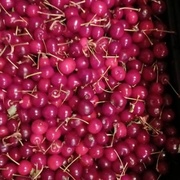 Вишня, 5 кг ящиком (350/1кг)