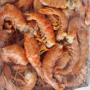 *ЛАНГУСТИНЫ С1*