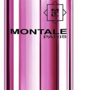 Montale Roses Musk 100 мл A-Plus
