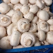 Шампиньоны ящиком, 3 кг