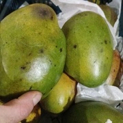 Манго с бочками