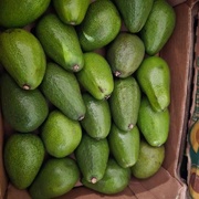 Авокадо, вес ок.4кг
