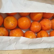 Хурма Бычье сердце ящиком