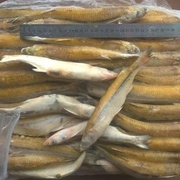 *КОРЮШКА с/м (Аргентина)*