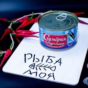 Скумбрия НДМ 250 г ВК