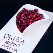 Клюква дикая