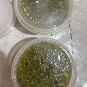 Крыжовник с сахаром без варки