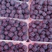 Ежевика, 1кг