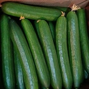 Огурцы длинные