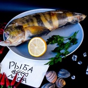 Терпуг тушка с/м