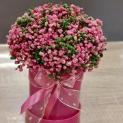 Композиция из стабилизированной гипсофилы