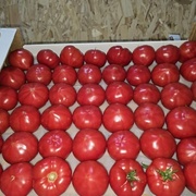 Помидоры Дагестан