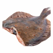 Камбала