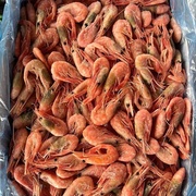 КРЕВЕТКА СЕВЕРНАЯ 120+