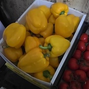 Перец уцененный, 4кг, ящиком