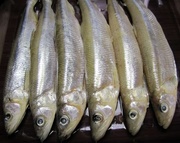 Корюшка с/м тушка Дальневосточная