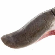 Язык говяжий