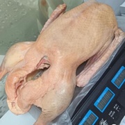 Гусь домашний, Тамбовская область, 3.5-5 кг