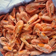 Креветка с/м 90+