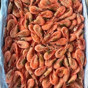 КРЕВЕТКА СЕВЕРНАЯ 150+