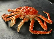 Краб камчатский
