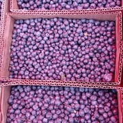 Черника