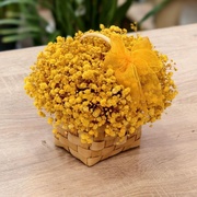 Лукошко из гипсофилы 232