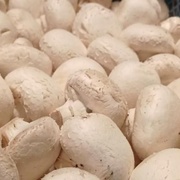 Шампиньоны