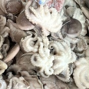 Осьминожки бэби🐙Тихоокеанские