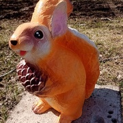 Белка