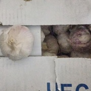 Чеснок Китай