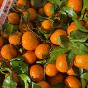 Мини мандарины