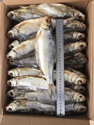 Вобла вяленая, Астрахань, крупная, с икрой