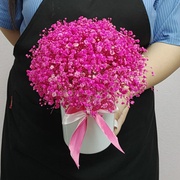 Композиция из стабилизированной гипсофилы