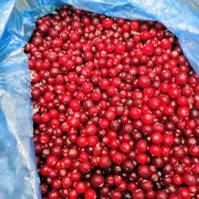 КЛЮКВА ДИКАЯ (Свежемороженая)