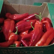 Перец Рамиро ящиком, 5 кг (130₽/1кг)