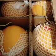 Дыня Колхозница