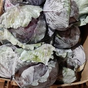 Капуста красная