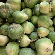 Зеленая редька