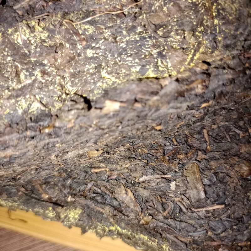 Хэй Ча золотая плесень 